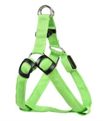 Glow-in-the-Dark LED Dog Harness with Leash for Large Breeds - Trendy Mix