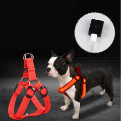 Glow-in-the-Dark LED Dog Harness with Leash for Large Breeds - Trendy Mix