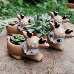 Hand Painted Elk Ceramic Ornament Succulent Flower Pot - Trendy Mix