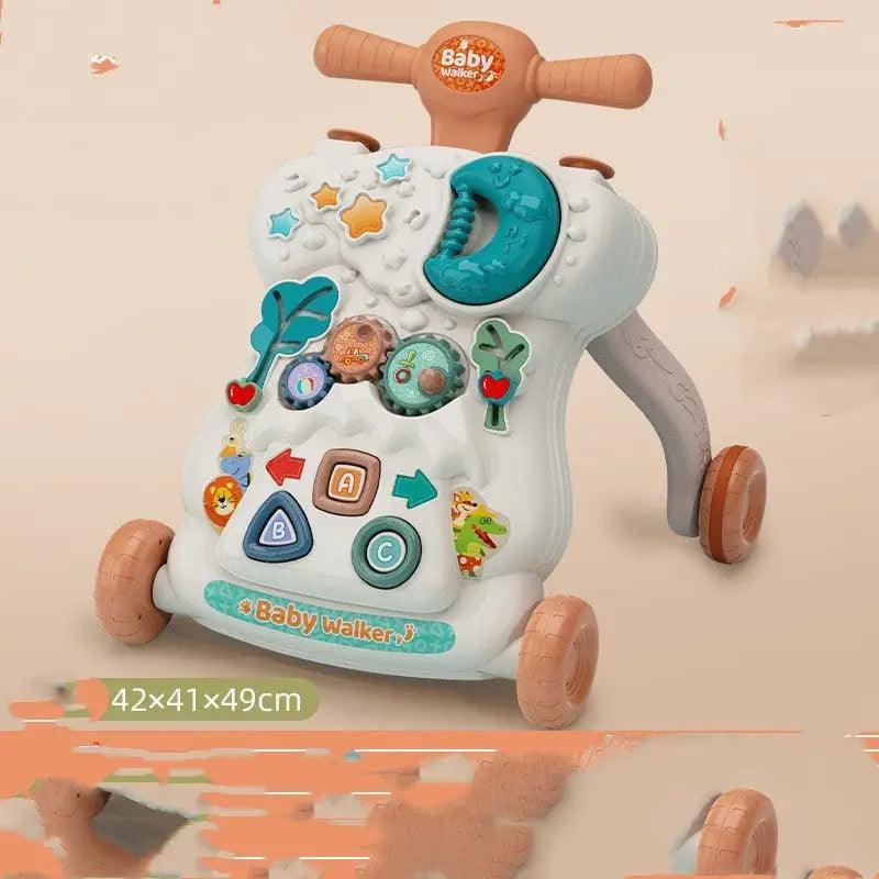 Multifunctional All In One Walker - Trendy Mix